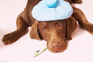 解谜游戏《如果可以回家早一点》Steam页面上线 发售日期待定